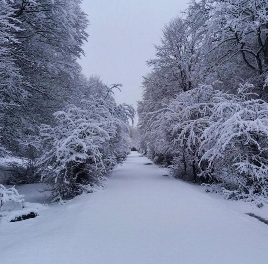 Andamur San Roman ภายนอก รูปภาพ